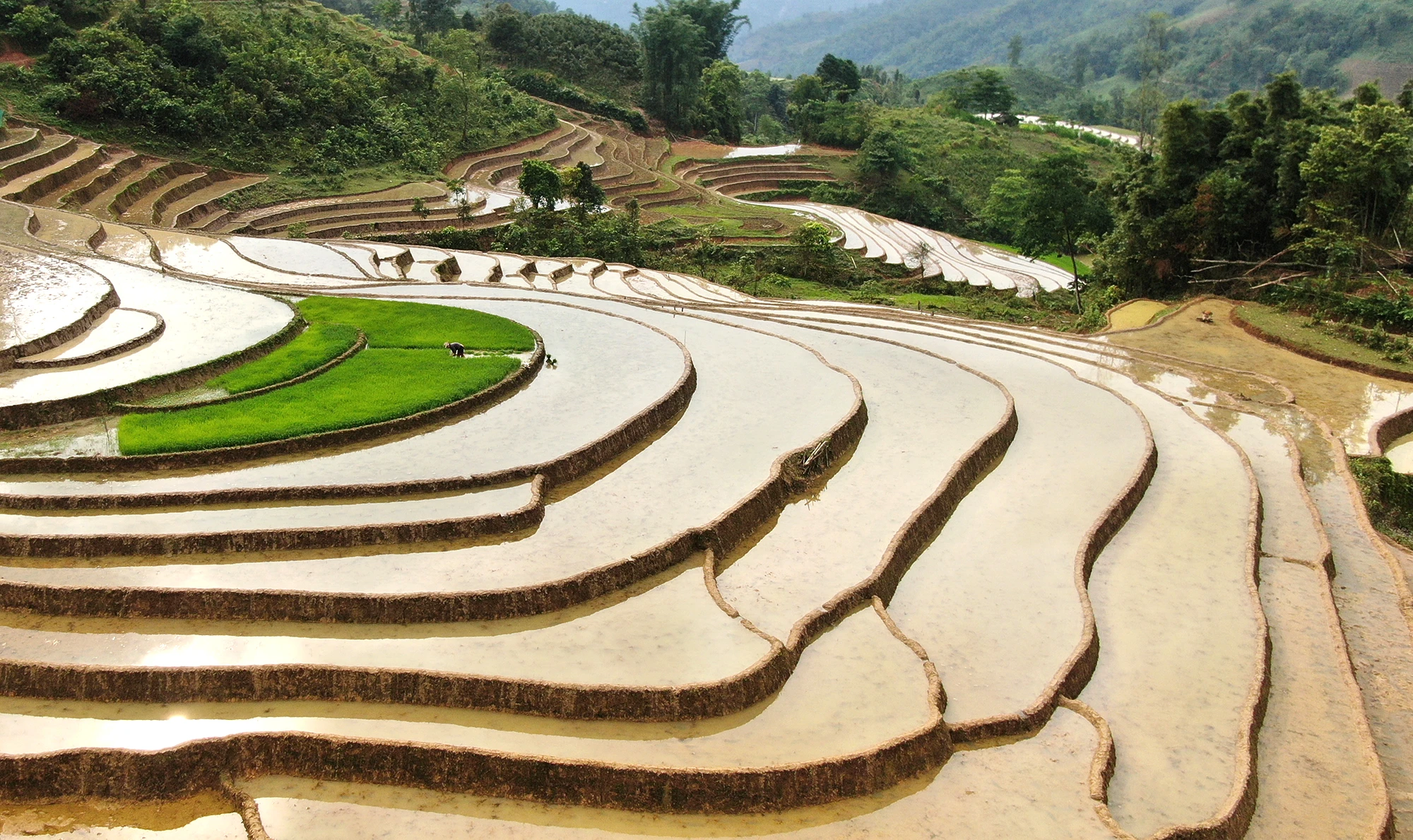ruong (6).jpg