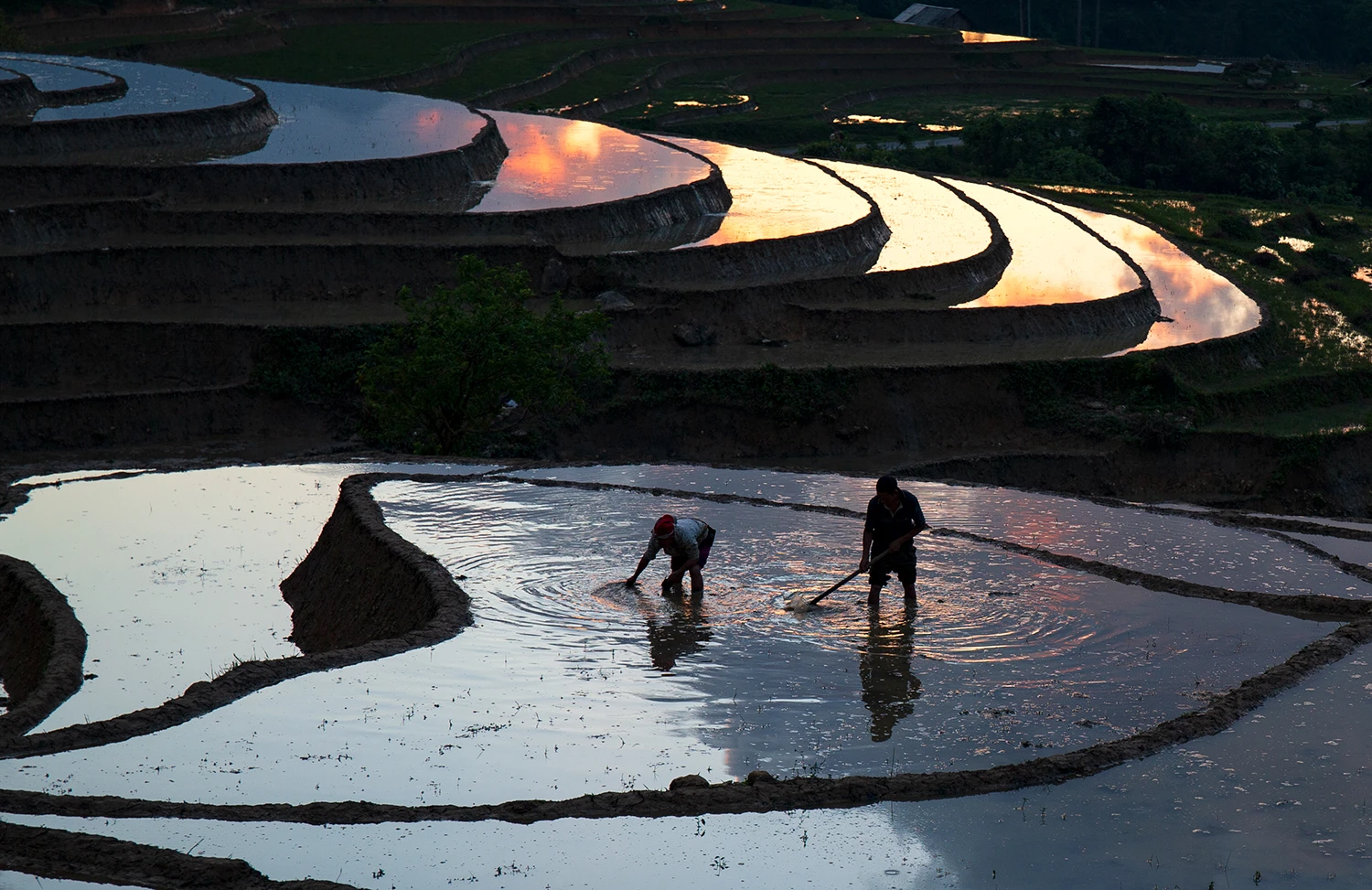 ruong (2).jpg