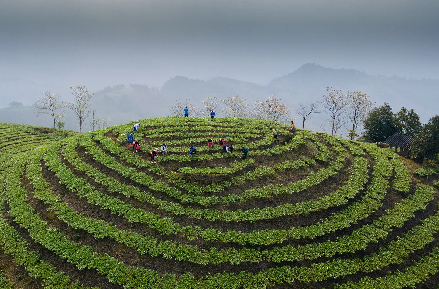 DJI_0794.jpg