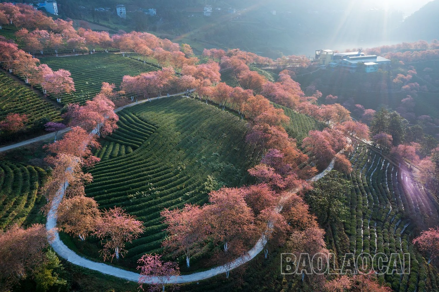 dji-0230-7843-3402.jpg