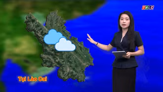 Dự báo thời tiết đêm 11 và ngày 12/8