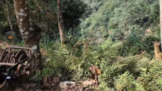 Một công nhân tử vong do tai nạn điện trong quá trình thi công công trình thủy lợi