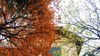 Thời tiết hôm nay (9/4): Miền Bắc tăng nhiệt, miền Nam nắng nóng