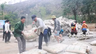 Hỗ trợ 1.400 tấn xi măng giúp người dân Bát Xát xóa nhà tạm