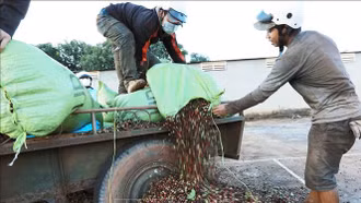 8 giải pháp để xuất khẩu nông - lâm - thủy sản đạt 65 tỷ USD