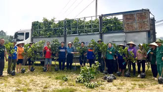 Cấp phát 2.000 cây giống bưởi da xanh cho hội viên nông dân xã Việt Tiến