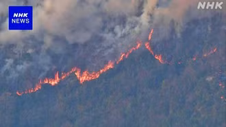 Nhật Bản: Cháy rừng nghiêm trọng xảy ra liên tiếp ở nhiều nơi