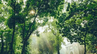 Thời tiết ngày 26/9: Bắc Bộ có mưa vài nơi, trưa chiều trời nắng