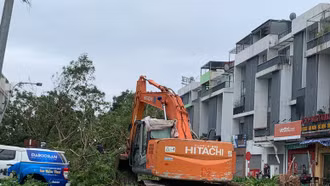 Cách phòng chống bệnh dịch sau bão