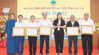 Biểu dương người cao tuổi tiêu biểu tham gia xây dựng hệ thống chính trị ở cơ sở giai đoạn 2019 - 2024