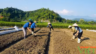 Xuất cấp hạt giống cây trồng hỗ trợ Lào Cai khôi phục sản xuất