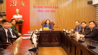 Ủy ban Chỉ đạo hợp tác song phương Việt Nam - Trung Quốc họp phiên thứ 16