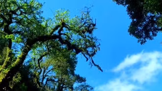 Khám phá thiên nhiên tươi đẹp trong Vườn Quốc gia Hoàng Liên