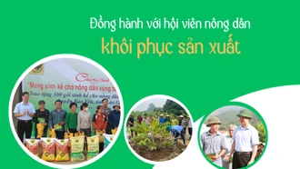 Đồng hành với hội viên nông dân khôi phục sản xuất