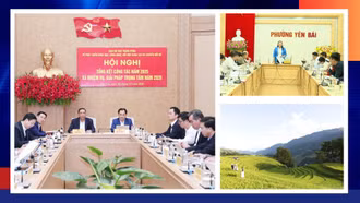 Điểm tin thời sự trong ngày 25/12