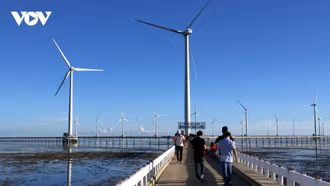 Việt Nam ban hành Kế hoạch thực hiện Tuyên bố toàn cầu về chuyển đổi điện than