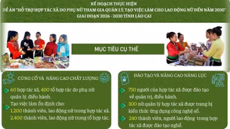 [Infographic] Mục tiêu thực hiện Đề án hỗ trợ hợp tác xã do phụ nữ tham gia quản lý trên địa bàn tỉnh Lào Cai, giai đoạn 2026 - 2030