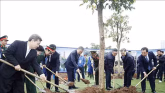 Tổng Bí thư Tô Lâm dự Lễ phát động "Tết trồng cây đời đời nhớ ơn Bác Hồ" tại Hà Nội