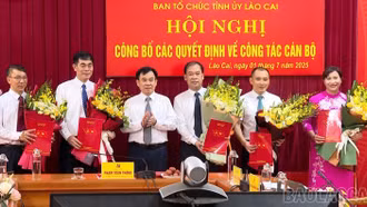 Ban Tổ chức Tỉnh ủy Lào Cai công bố các quyết định về công tác cán bộ 