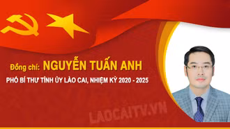 [Infographic] Tóm tắt tiểu sử đồng chí Nguyễn Tuấn Anh, Phó Bí thư Tỉnh ủy