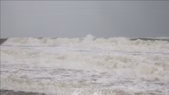 Chủ động ứng phó với áp thấp nhiệt đới có khả năng mạnh lên thành bão và mưa lũ