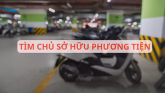 Tìm chủ sở hữu, người quản lý hoặc người sử dụng hợp pháp của 493 phương tiện vi phạm hành chính đang bị tạm giữ