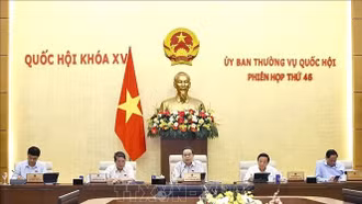 Sửa Luật Quy hoạch để các địa phương thực hiện chính quyền 2 cấp