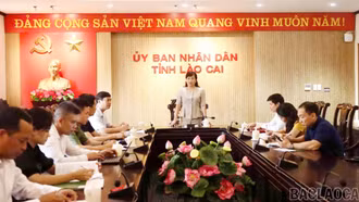 Tổng kết công tác tổ chức Hội chợ Du lịch quốc tế Lào Cai