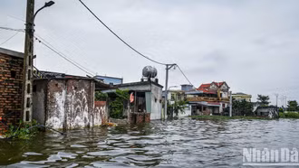 Bộ trưởng Bộ Giáo dục và Đào tạo gửi Công điện về chủ động ứng phó mưa lũ, sẵn sàng chuẩn bị cho các kỳ thi