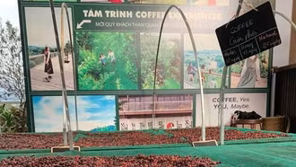 4 tháng đầu năm 2025: Xuất khẩu nông, lâm, thuỷ sản đạt 21,15 tỷ USD