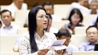 Luật Nhà giáo phải định rõ tỷ lệ phân bổ giữa giảng dạy và kinh doanh