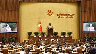 Ngày 12/5, Quốc hội thảo luận việc rút ngắn nhiệm kỳ Quốc hội khóa XV, HĐND các cấp nhiệm kỳ 2021 - 2026, ngày bầu cử Quốc hội khóa XVI