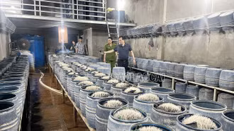 Công an tỉnh Lào Cai triệt phá 2 cơ sở dùng hóa chất độc hại làm giá đỗ bán ra thị trường