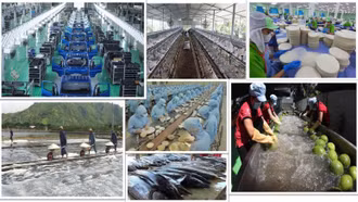 Tổng Bí thư Tô Lâm và tư duy lý luận mới về kinh tế tư nhân