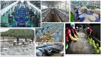Tổng Bí thư Tô Lâm và tư duy lý luận mới về kinh tế tư nhân