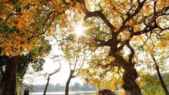 Thời tiết hôm nay (5/5): Bắc Bộ nhiều nơi nắng nóng, chiều tối và đêm có mưa rào