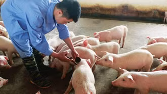 Xuất cấp vắc-xin lở mồm long móng cho 30 địa phương