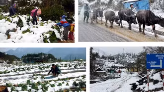 Thủ tướng chỉ đạo chủ động phòng, chống rét đậm, rét hại kéo dài