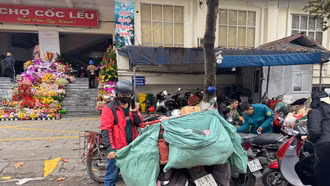 Shipper - Top 1 người được mong đợi nhất lúc này