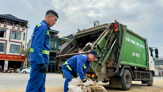 Để thành phố thêm sắc xuân