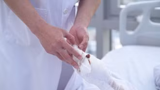 Một số lưu ý khi gặp tai nạn liên quan đến pháo