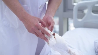 Một số lưu ý khi gặp tai nạn liên quan đến pháo