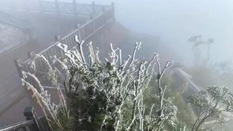 Thời tiết ngày 23/1: Vùng núi cao các tỉnh Bắc Bộ đề phòng băng giá và mưa tuyết