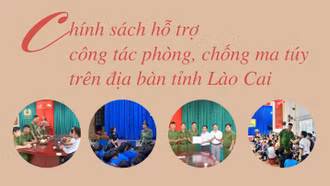 [Infographic] Nội dung hỗ trợ và mức hỗ trợ công tác phòng, chống ma túy trên địa bàn tỉnh Lào Cai