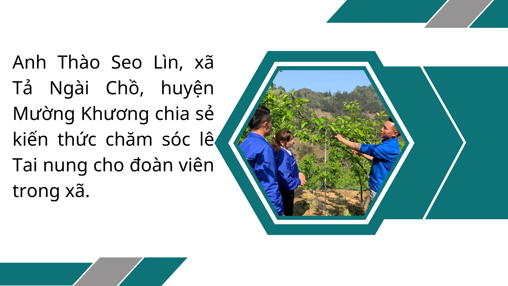 Green White Minimalist Modern Real Estate Presentation.png