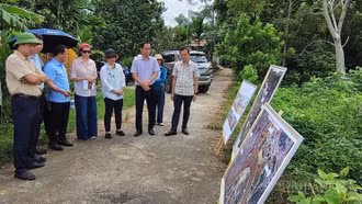 Đoàn công tác của ADB tại Việt Nam khảo sát thực địa Dự án chống ngập úng ven sông Hồng