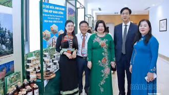 Khơi mạch nguồn vốn, đánh thức tiềm năng OCOP
