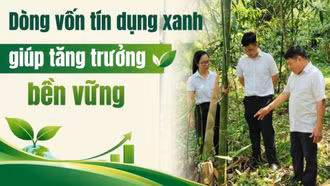 Dòng vốn tín dụng xanh giúp tăng trưởng bền vững 