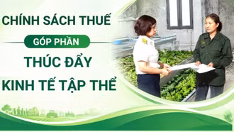 Chính sách thuế góp phần thúc đẩy kinh tế tập thể 