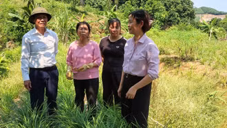 Lào Cai: Vốn vay ưu đãi tiếp sức tạo việc làm bền vững